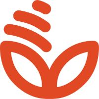 О лимитах на снятие наличных денежных средств за пределами Республики Беларусь