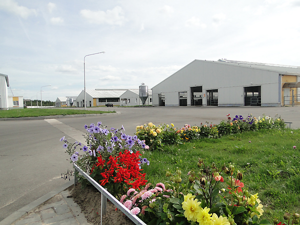 Молочно-товарная ферма «Вишня» была сдана в эксплуатацию в 2010 году. На ее строительство затрачено 59,3 млрд. рублей