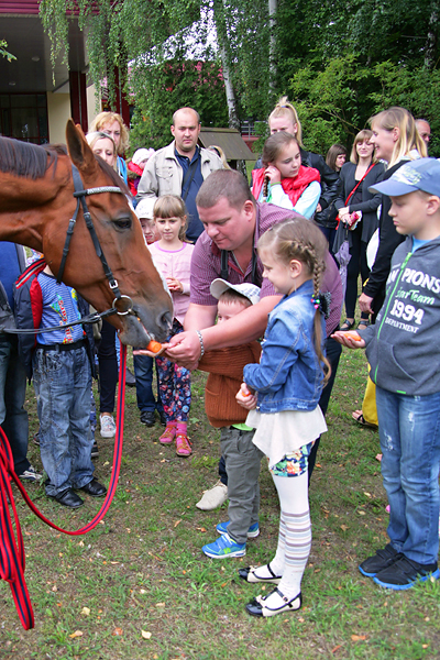 Дети могли пообщаться с лошадьми, покормив их сладкой морковкой